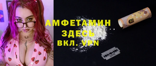 гидра Краснослободск