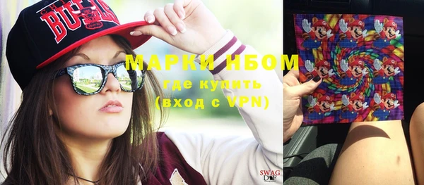 гидра Краснослободск